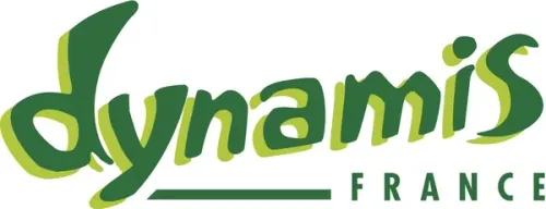 Dynamis
